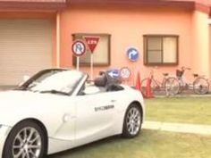 熟女 M男 三浦恵理子 清楚 エロい