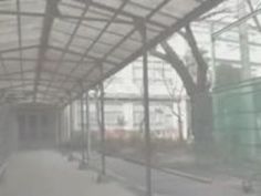 ブルマ 足コキ ぶっかけ 尻 勃起