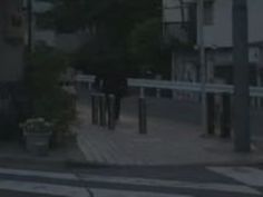 フェラ 大橋未久 激 濃密 大橋