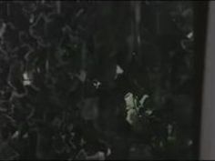 波多野結衣 波多野 透け ブラ 濡れ