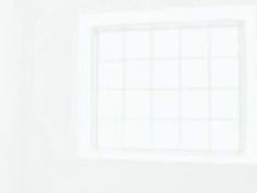 ギャル 明日花キララ 可愛い 主観 美女