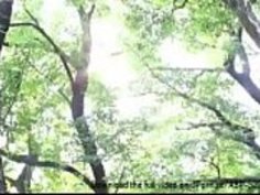 [Jap] Endless Sex、Nao Wakana - フルビデオ：HTTP://JPorn.se/ABP-527