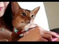 日本のマリカは、黒いコックのポルノで殴られたhotcamgirlsvideos.comでもっと