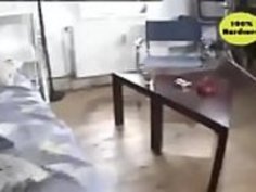 スウェーデンのLinda Thoren Sex Adventures in Japan