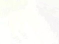 巨乳 明日花キララ おっぱい 田舎 乳