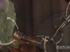 しおり嬲り 出演: 山手栞