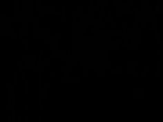 中出し コスプレ 巨乳 コスプレイヤー アニコス