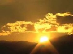 母 安野由美 バイト 見て