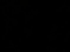 素人 美少女 乱交 企画 湊莉久