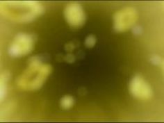 エロアニメ 勃起