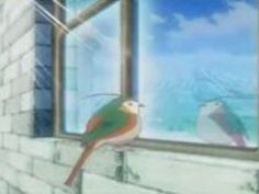 エロアニメ コスプレ ハーレム ゲーム 図書館