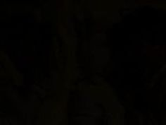 水着 あべみかこ ベロチュー 跡美しゅり お兄ちゃん