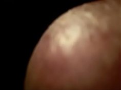 深夜の性殖クラブ、開催してます。