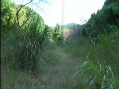 アナルバイブ露出