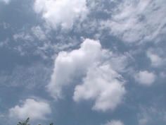 MEYD-014 熱帯夜 本田莉子