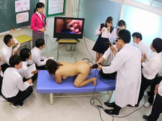 共学校の保健体育2020年・5時限目 妊娠のメカニズムについて 男性器と女性器の復習