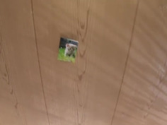 白川ゆず バズりが欲しくてベロチュウ性交のエロバカ動画を上げまくるハイテンション女子校生